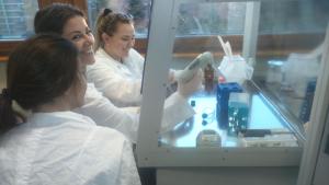 Biologia
