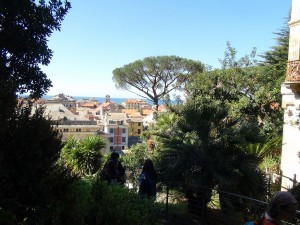 DSC02549  