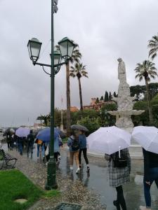 IMG 20190520 084358